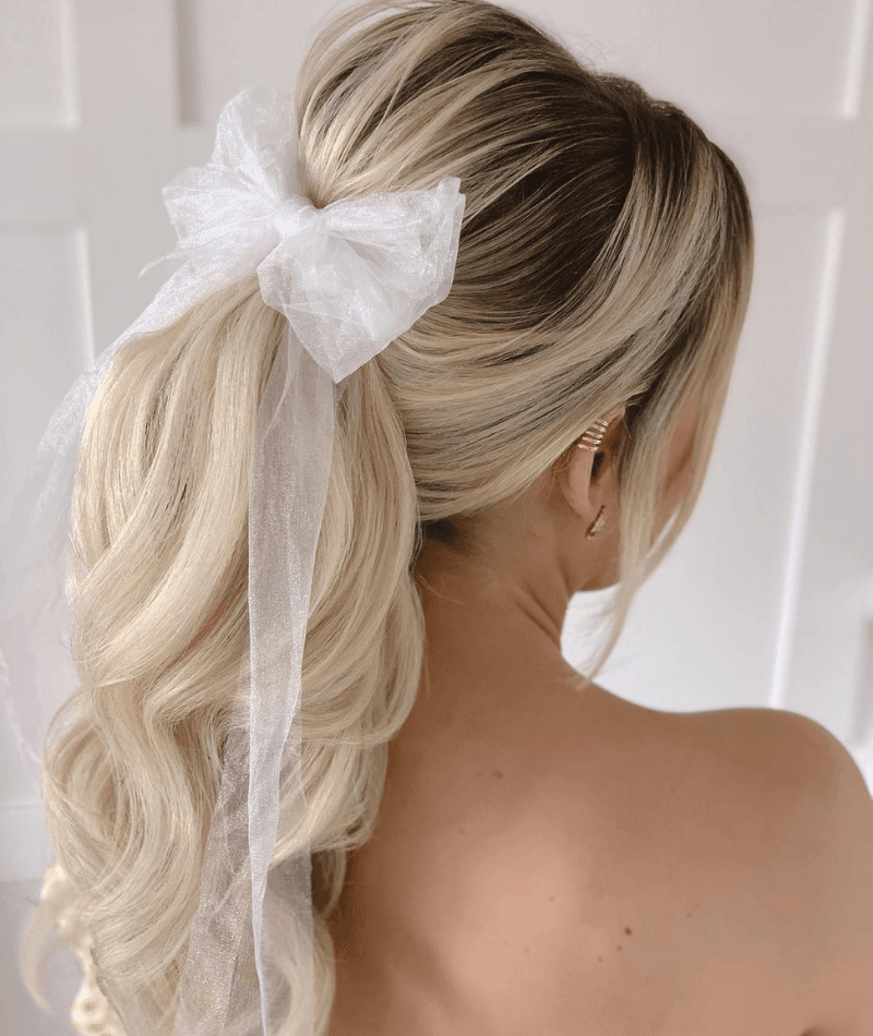 Ponytail Hairstyle Ideas