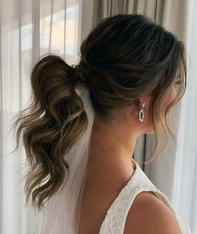 Ponytail Hairstyle Ideas
