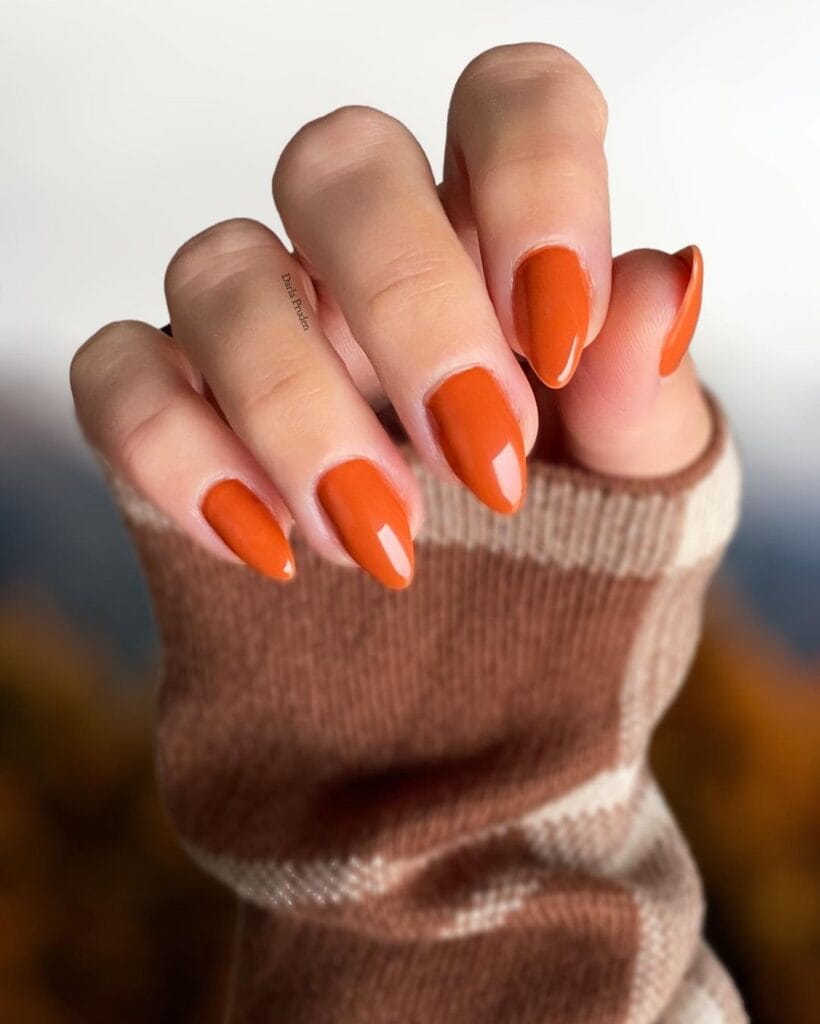 Burnt Orange Nail