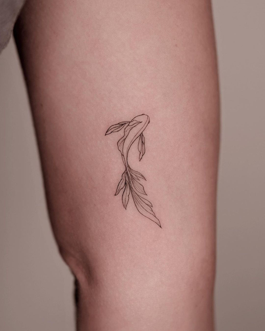 Fish Tattoo Designs You Ll Adore Womensew