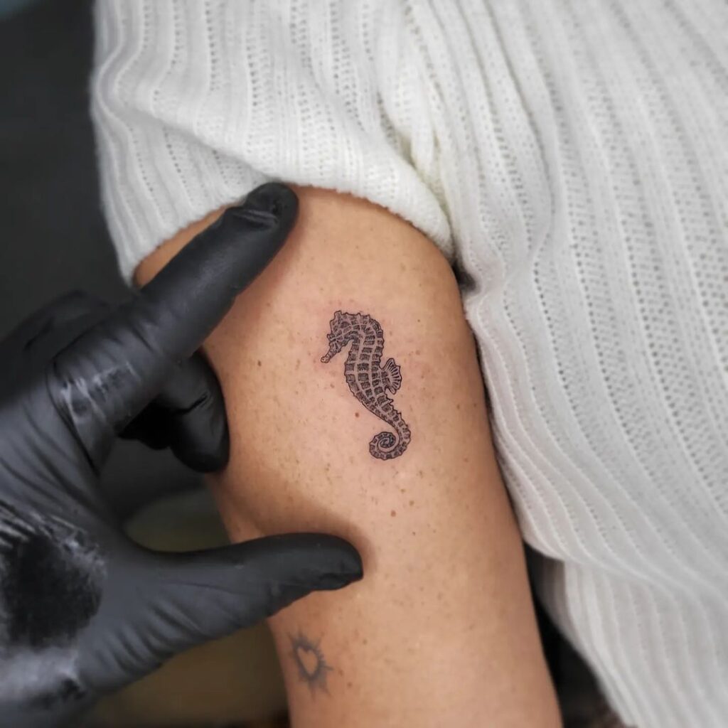 Seahorse Tattoo