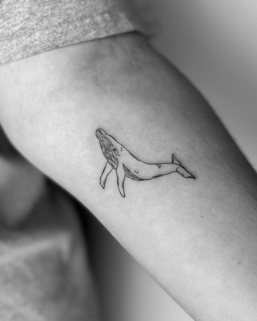 Whale Tattoo