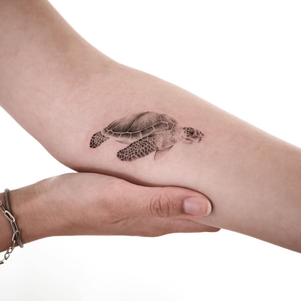 Sea Turtle Tattoo 