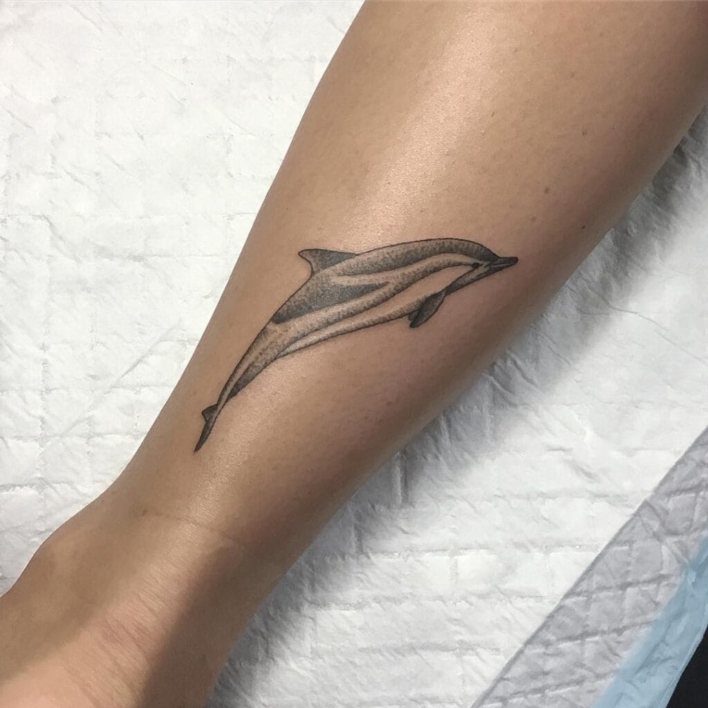 Dolphin Tattoo 