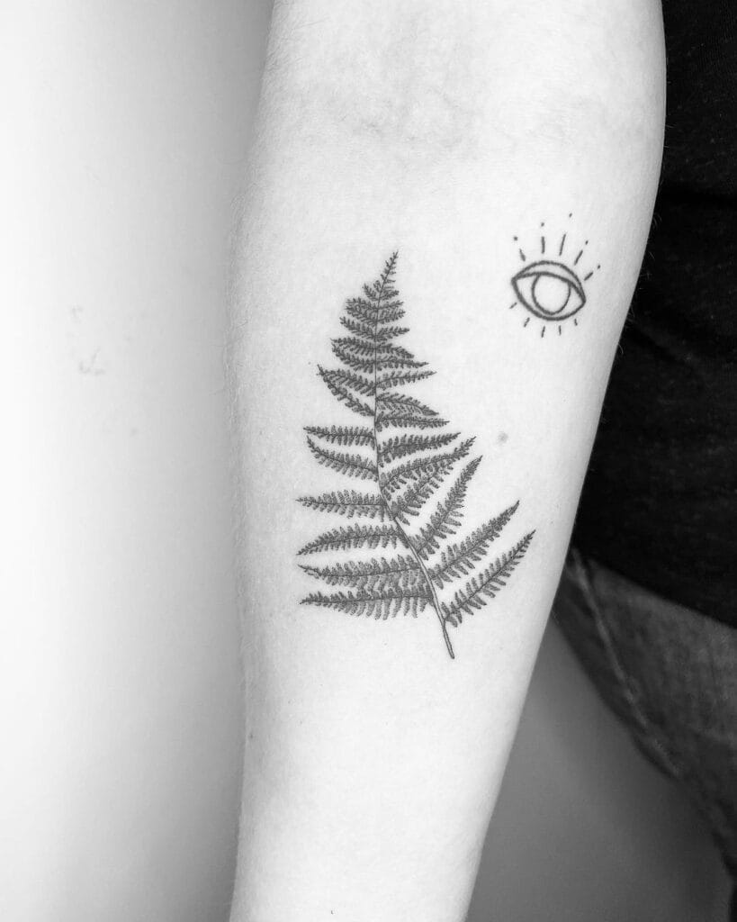 Fern Tattoo Concepts