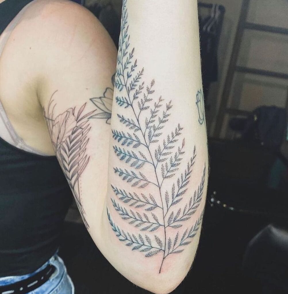 Fern Tattoo Concepts