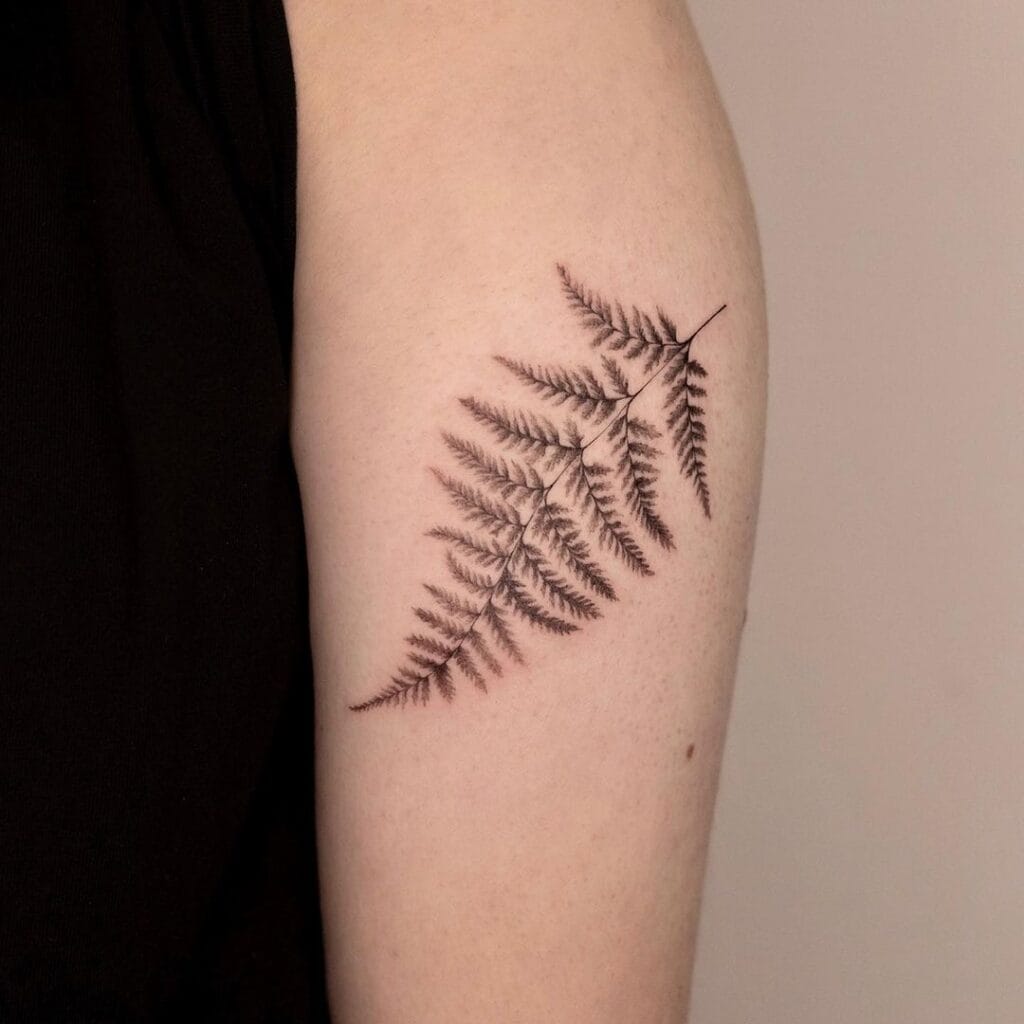 Fern Tattoo Concepts