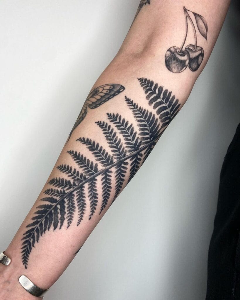 Fern Tattoo Concepts